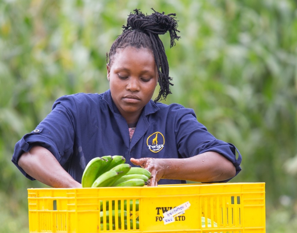 You are currently viewing Kenya’s Twiga raises $50M to scale food solutions across Africa
