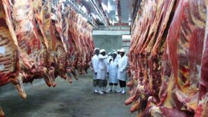 Read more about the article Saudi Arabia issues new rules for Kenyan meat