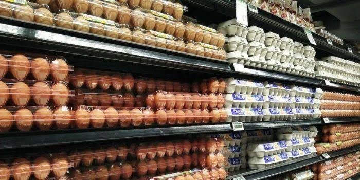 You are currently viewing Prices of Eggs Goes High After 25% Duty Imposed On The Commodity