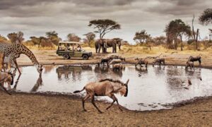 Read more about the article Tanzania Ranked Among World’s Best Travel Destinations