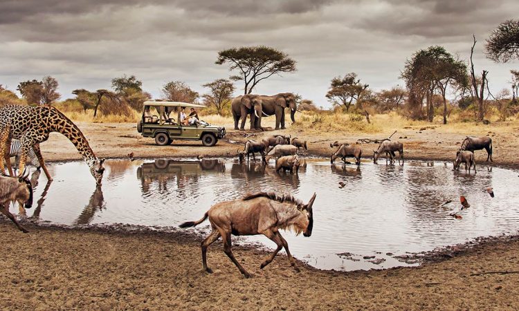 You are currently viewing Tanzania Ranked Among World’s Best Travel Destinations