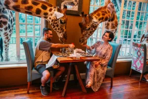 Read more about the article Giraffe Manor Ranked in World’s Top Three Unique Hotels