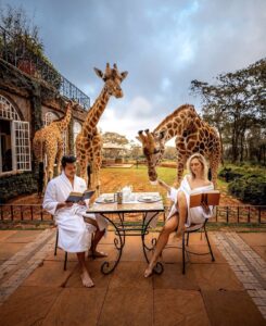 Read more about the article Inside Famous Giraffe Manor Hotel