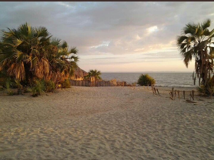 You are currently viewing Eliye Springs’ beaches,The Beauty of Lake Turkana