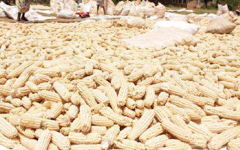Read more about the article Kenyans To Receive Cheap Maize and Rice Soon