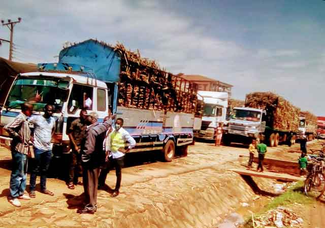 You are currently viewing Millers pay a high price for sugar cane