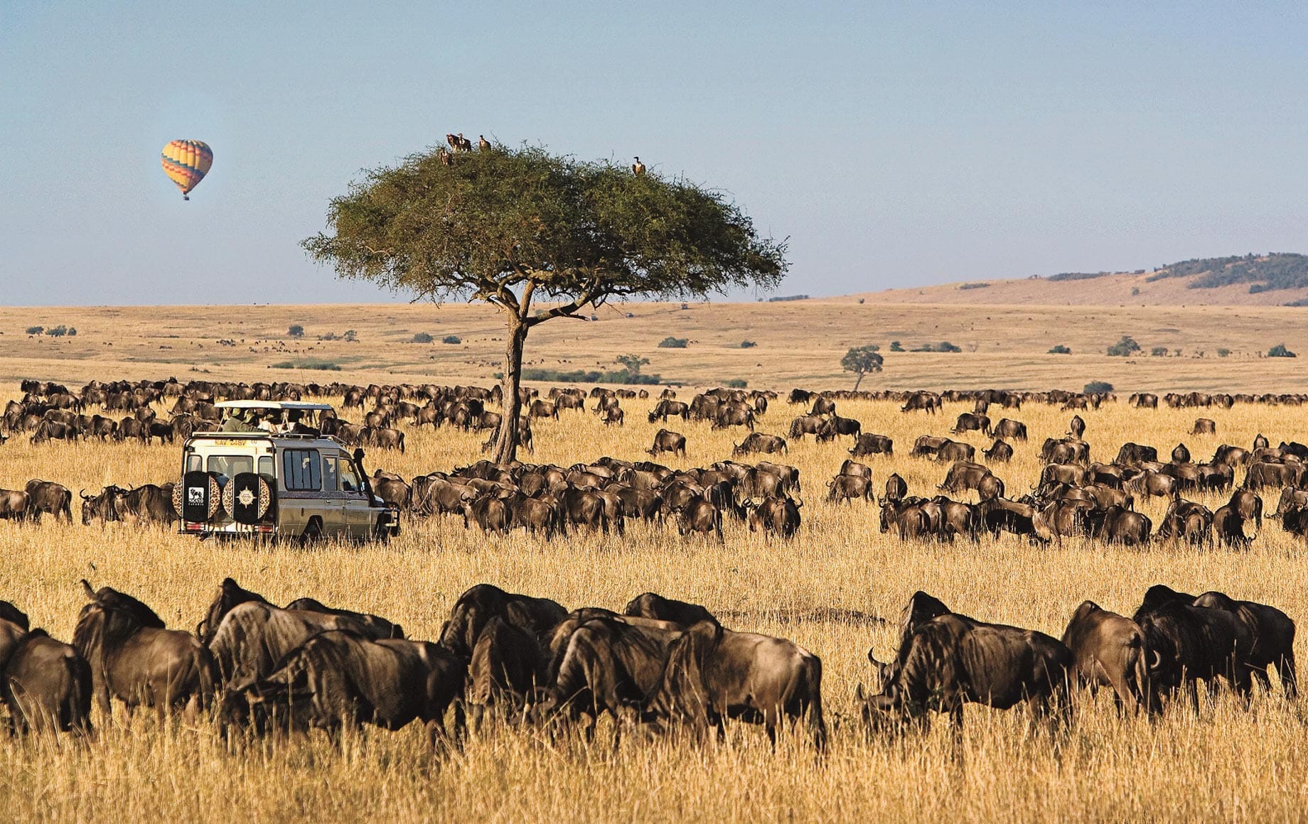 Read more about the article UK citizens ranked Kenya among the top international destinations