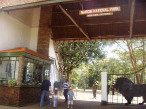 Read more about the article KWS to Exempt a number of individuals from paying Park entry fee
