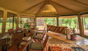 Read more about the article The Rise Of Emboo River Lodge