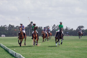 Read more about the article Unmistakably Polo – Symphony of Elegance and Frothy Fun